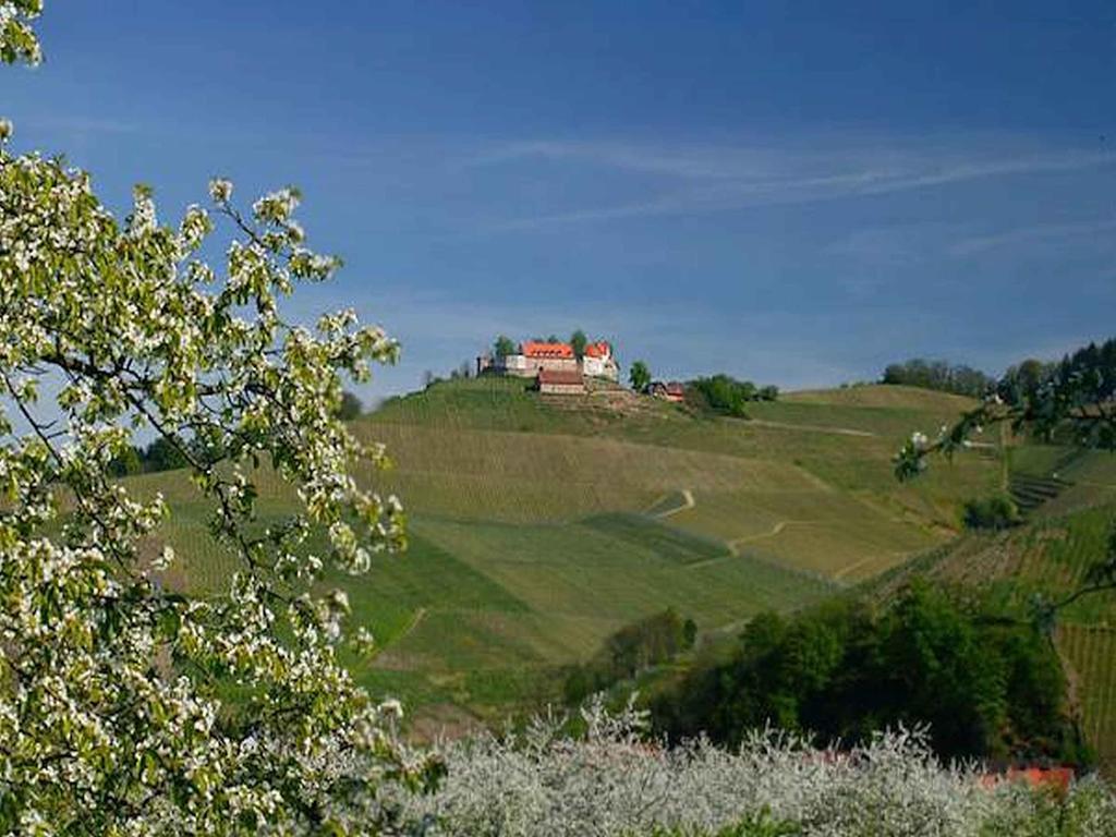 Gasthaus Hohberg Durbach Εξωτερικό φωτογραφία