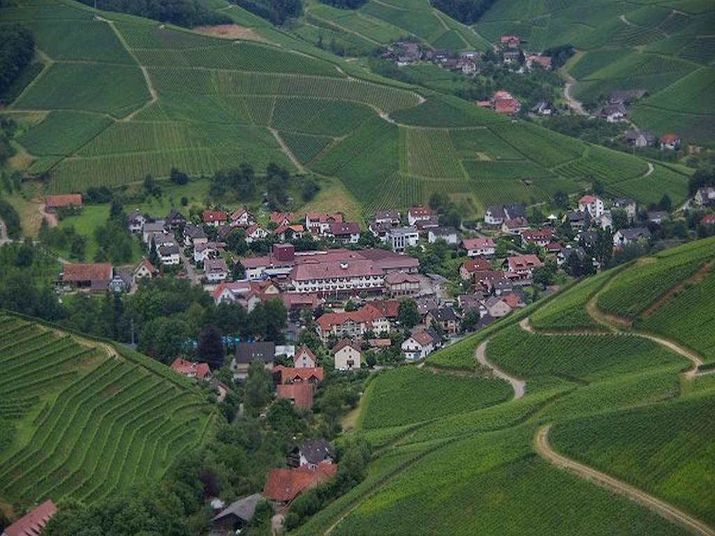 Gasthaus Hohberg Durbach Εξωτερικό φωτογραφία